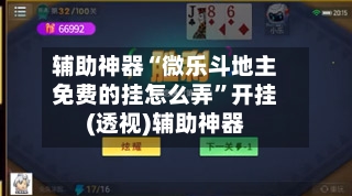 辅助神器“微乐斗地主免费的挂怎么弄	”开挂(透视)辅助神器-第1张图片
