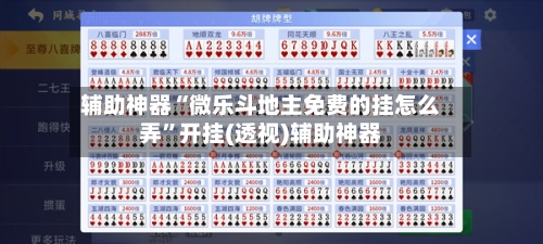 辅助神器“微乐斗地主免费的挂怎么弄”开挂(透视)辅助神器-第2张图片