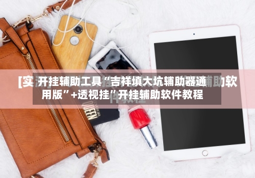 开挂辅助工具“吉祥填大坑辅助器通用版”+透视挂	”开挂辅助软件教程-第1张图片