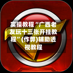 实操教程“广西老友玩十三张开挂教程”(作弊)辅助透视教程-第2张图片