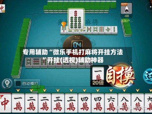 专用辅助“微乐手机打麻将开挂方法”开挂(透视)辅助神器-第3张图片