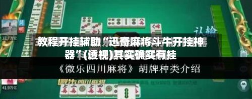 教程开挂辅助“迅奇麻将斗牛开挂神器”(透视)其实确实有挂-第2张图片