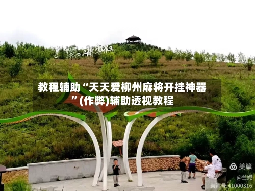 教程辅助“天天爱柳州麻将开挂神器	”(作弊)辅助透视教程-第3张图片