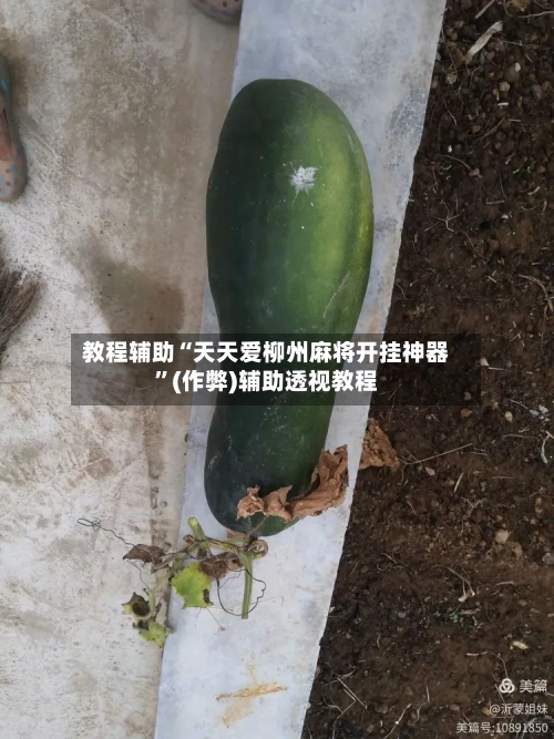 教程辅助“天天爱柳州麻将开挂神器”(作弊)辅助透视教程-第1张图片