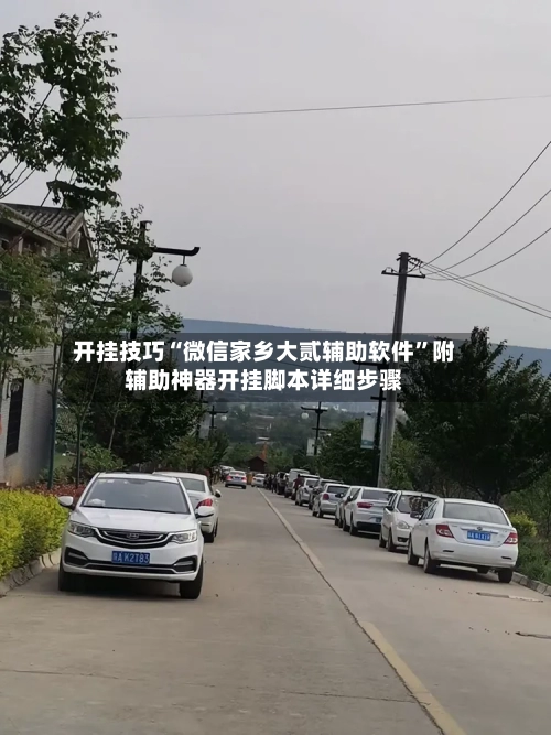 开挂技巧“微信家乡大贰辅助软件”附辅助神器开挂脚本详细步骤-第1张图片