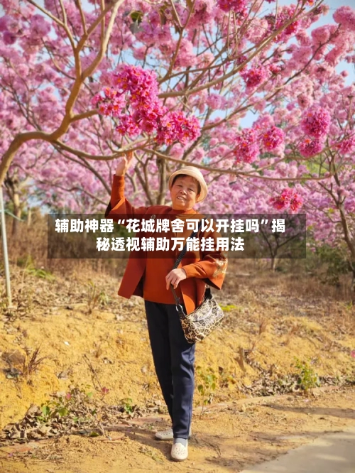 辅助神器“花城牌舍可以开挂吗”揭秘透视辅助万能挂用法-第3张图片