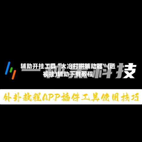 辅助开挂工具“大冶打拱辅助器”(透视挂)辅助下载教程-第1张图片