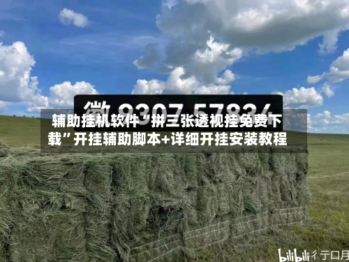 辅助挂机软件“拼三张透视挂免费下载	”开挂辅助脚本+详细开挂安装教程-第1张图片