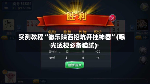 实测教程“微乐陕西挖坑开挂神器	”(曝光透视必备猫腻)-第2张图片