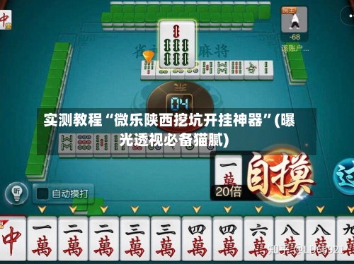 实测教程“微乐陕西挖坑开挂神器”(曝光透视必备猫腻)-第1张图片
