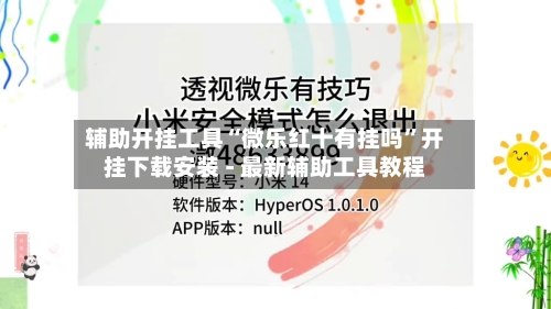 辅助开挂工具“微乐红十有挂吗”开挂下载安装 - 最新辅助工具教程-第2张图片
