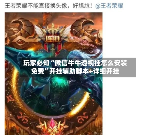 玩家必知“微信牛牛透视挂怎么安装免费”开挂辅助脚本+详细开挂-第1张图片