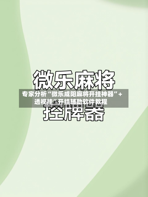 专家分析“微乐咸阳麻将开挂神器	”+透视挂”开挂辅助软件教程-第1张图片