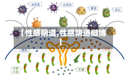 【性感阴道,性感阴道微博】-第1张图片