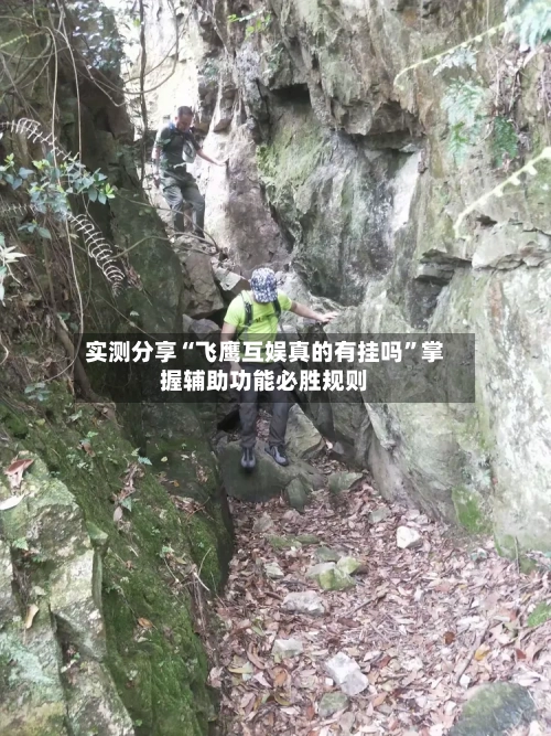 实测分享“飞鹰互娱真的有挂吗	”掌握辅助功能必胜规则-第2张图片
