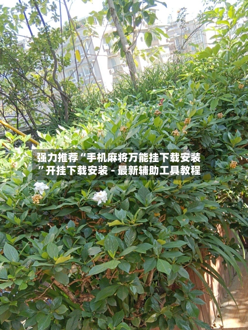 强力推荐“手机麻将万能挂下载安装”开挂下载安装 - 最新辅助工具教程-第2张图片