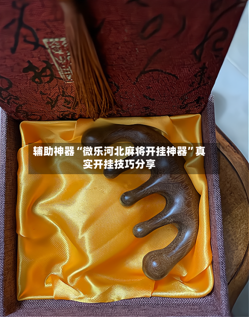 辅助神器“微乐河北麻将开挂神器	”真实开挂技巧分享-第2张图片