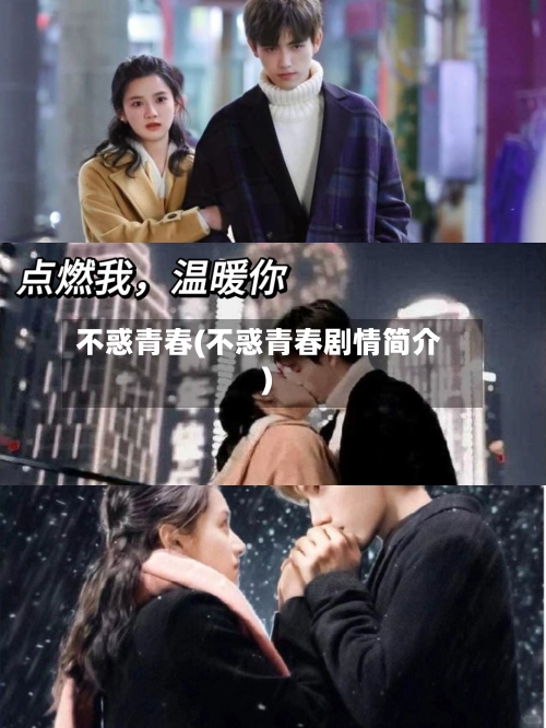不惑青春(不惑青春剧情简介)-第2张图片