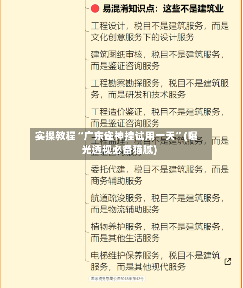 实操教程“广东雀神挂试用一天”(曝光透视必备猫腻)-第2张图片