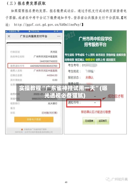 实操教程“广东雀神挂试用一天”(曝光透视必备猫腻)-第3张图片