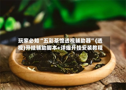 玩家必知“五彩茶馆透视辅助器”(透视)开挂辅助脚本+详细开挂安装教程-第2张图片