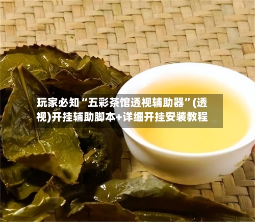 玩家必知“五彩茶馆透视辅助器”(透视)开挂辅助脚本+详细开挂安装教程-第1张图片