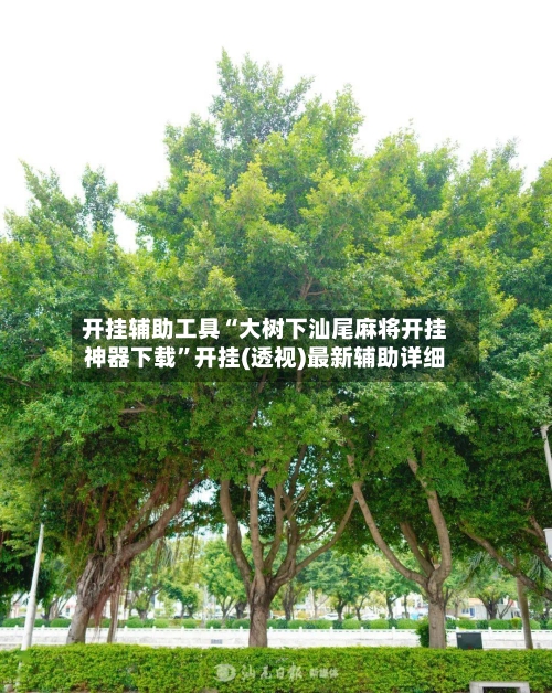 开挂辅助工具“大树下汕尾麻将开挂神器下载”开挂(透视)最新辅助详细-第1张图片