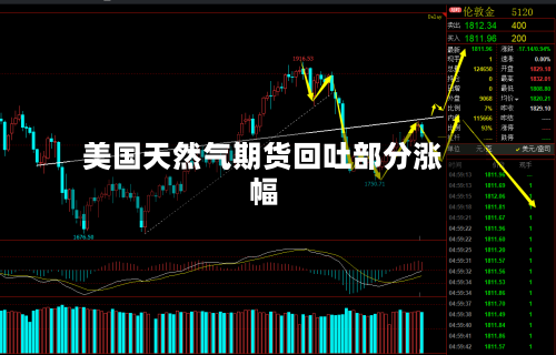美国天然气期货回吐部分涨幅-第3张图片