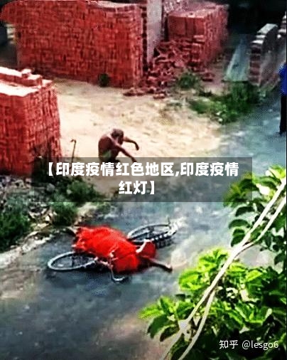 【印度疫情红色地区,印度疫情红灯】-第1张图片