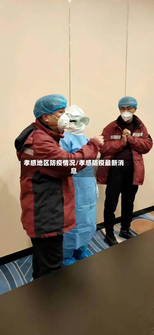 孝感地区防疫情况/孝感防疫最新消息-第3张图片