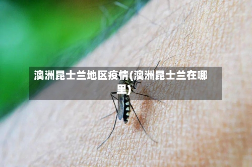 澳洲昆士兰地区疫情(澳洲昆士兰在哪里)-第3张图片