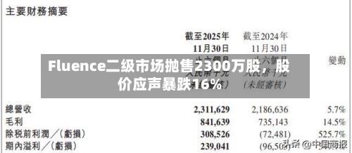 Fluence二级市场抛售2300万股，股价应声暴跌16%-第2张图片