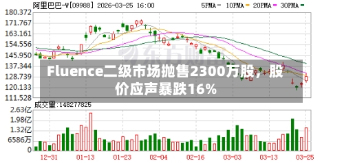 Fluence二级市场抛售2300万股，股价应声暴跌16%-第1张图片