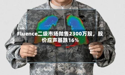 Fluence二级市场抛售2300万股，股价应声暴跌16%-第3张图片