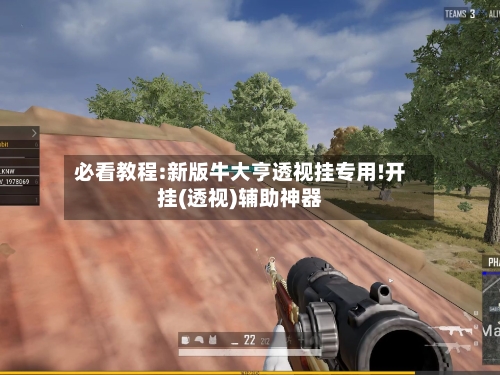 必看教程:新版牛大亨透视挂专用!开挂(透视)辅助神器-第3张图片