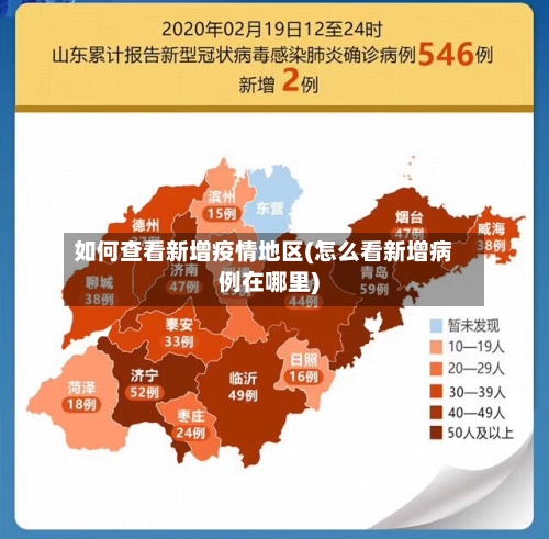 如何查看新增疫情地区(怎么看新增病例在哪里)-第2张图片