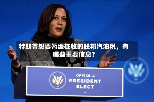 特朗普想要暂缓征收的联邦汽油税，有哪些重要信息？-第2张图片