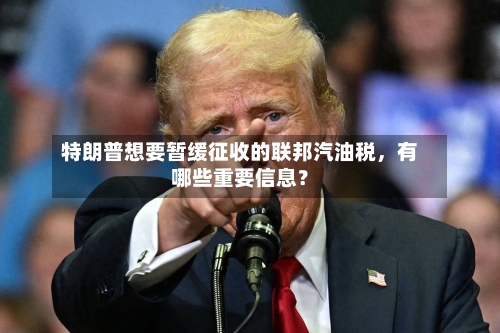 特朗普想要暂缓征收的联邦汽油税，有哪些重要信息？-第3张图片