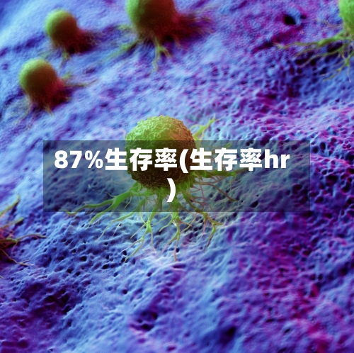 87%生存率(生存率hr)-第1张图片
