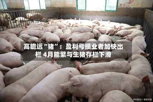 高瞻远“猪	”：盈利亏损业者加快出栏 4月能繁与生猪存栏下滑-第2张图片