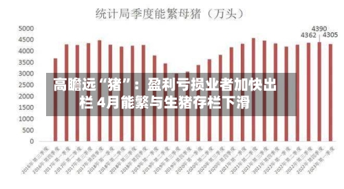 高瞻远“猪”：盈利亏损业者加快出栏 4月能繁与生猪存栏下滑-第1张图片