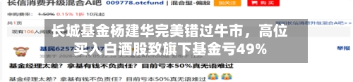 长城基金杨建华完美错过牛市	，高位买入白酒股致旗下基金亏49%-第1张图片