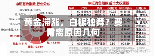 黄金滞涨，白银独舞？费用背离原因几何-第1张图片