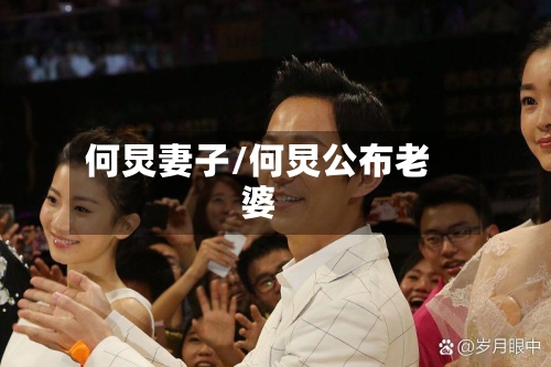 何炅妻子/何炅公布老婆-第2张图片