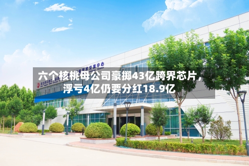 六个核桃母公司豪掷43亿跨界芯片	，浮亏4亿仍要分红18.9亿-第2张图片
