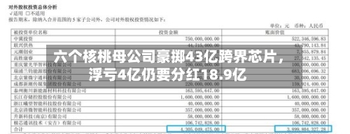 六个核桃母公司豪掷43亿跨界芯片，浮亏4亿仍要分红18.9亿-第1张图片