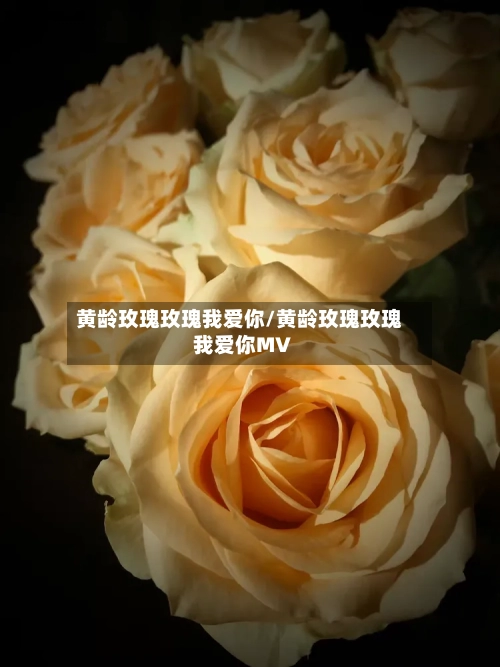黄龄玫瑰玫瑰我爱你/黄龄玫瑰玫瑰我爱你MV-第1张图片