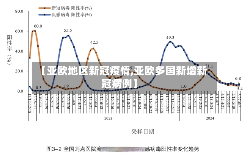 【亚欧地区新冠疫情,亚欧多国新增新冠病例】-第2张图片