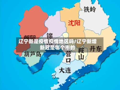 辽宁新是疫情疫情地区吗/辽宁新增新冠是哪个市的-第2张图片
