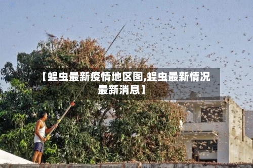 【蝗虫最新疫情地区图,蝗虫最新情况最新消息】-第1张图片
